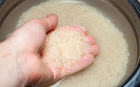 Estudo coloca fim a um debate antigo: é preciso lavar o arroz ou não antes de cozinhar? A resposta não é o que você espera