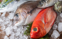 Poucos sabem, mas esses são os sinais que você deve procurar em um peixe fresco de boa qualidade