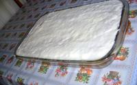 Galega Doida