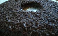 Brigadeirão (microondas)