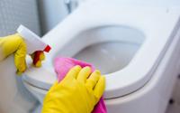 4 passos importantes para garantir uma limpeza eficaz do vaso sanitário