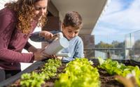 Nem todo dia, nem só uma vez por semana: descubra a frequência ideal de regar a sua horta de vegetais