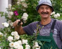 O segredo para um gramado livre de ervas daninhas: a estratégia adotada por jardineiros profissionais