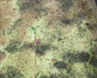 Torta de palmito com azeitonas