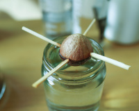 Abacateiro: aprendi como plantar um caroço de abacate do jeito certo, com essas dicas ficou fácil!