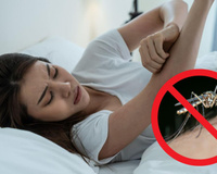 Muito calor e mais mosquitos: veja como fazer repelente natural de acordo com farmacêutico