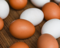 Ovos brancos ou ovos marrons: qual a diferença e qual você deve comprar? O TudoGostoso soluciona essa dúvida