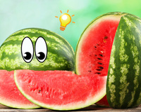 A única maneira de saber quando uma melancia está madura, de acordo com um fazendeiro