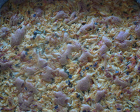 Torta colorida de frango