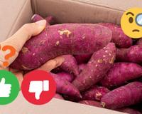 Benefícios e malefícios da batata-doce: saiba por que comer o tubérculo, se ajuda a emagrecer, quanto consumir e cuidados