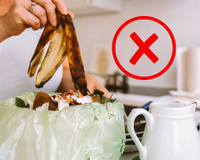 Não tenha lixeira de pia! Quando descobri o perigo desse hábito joguei a minha fora