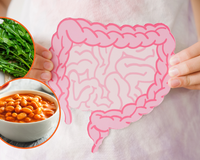 Os alimentos que auxiliam no funcionamento correto da microbiota intestinal