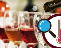 A maioria faz errado: saiba qual é temperatura correta de servir cada vinho