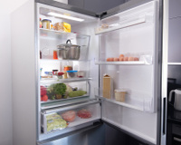 Como organizar a geladeira do jeito certo: entenda a função e a temperatura de cada compartimento