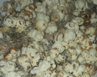 Pipoca gourmet choconinho