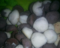 Biscoito amanteigado da vovó