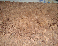 Bolo de festa de chocolate da Patthy