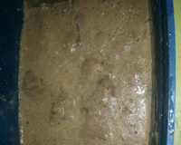 Sorvete de chocolate