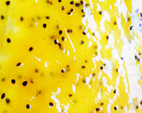 Pavê de maracujá fácil