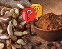 Nem castanha-do-pará, nem cacau em pó: esse alimento surpreende com muito mais magnésio. Descubra os benefícios deste mineral fundamental para a saúde!