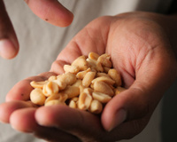 Um lanche diário comum entre os brasileiros pode contribuir para uma melhor memória no futuro: ele é encontrado com facilidade