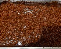 Bolo de bandeja de brigadeiro é a receita maravilhosa da minha sogra que você vai querer comer todo dia!