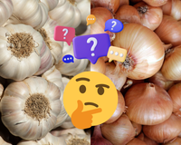 A cebola e o alho podem permanecer frescos por meses se armazenados corretamente e o melhor local é bem inusitado