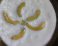 Creme Gelado (maçã ou pêssego)