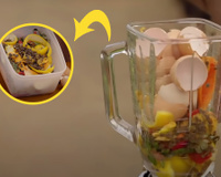 Adubo caseiro de liquidificador com cascas e restos de alimentos da sua cozinha: essa é a melhor receita para deixar as suas plantas mais fortes!