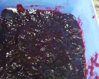 Geleia de jabuticaba