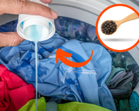 Eu me perguntava por que a vizinha colocava bolinhas de pimenta na lavanderia, agora que vi o resultado vou fazer o mesmo