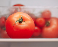 Agricultora explica onde os tomates devem ser armazenados: "Sempre fizemos errado"