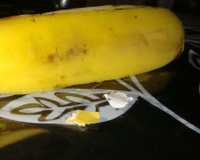 Cuscuz paulista do Lúcio Cezar