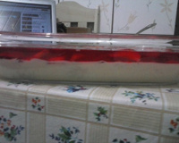 Sobremesa de gelatina