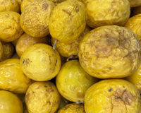 Uma fruta que deve ser consumida murcha: com baixo teor de açúcar, rica em fibras e apelidada de Rainha dos Sucos de Frutas