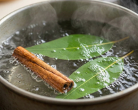 Ferver folhas de eucalipto com canela: quais são os benefícios e por que é recomendado?