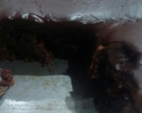 Bolo pão de mel integral