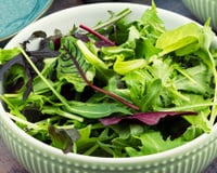 3 vegetais folhosos verdes que ajudam a reduzir o colesterol no sangue, aumentar a ingestão de fibras e promover a saúde do coração
