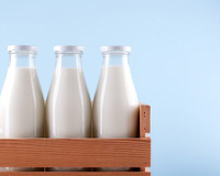 Saiba as diferenças entre os leites de vaca, de cabra e de búfala