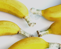 Diferentes utilidades do plástico-filme: confira