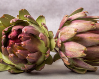 Como fazer alcachofra e aproveitar os incríveis benefícios que essa flor deliciosa oferece