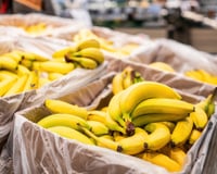 O guia definitivo da banana: benefícios, qual tipo serve melhor para cada receita e usos criativos nas plantas e na limpeza