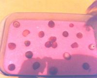Mousse de Morango