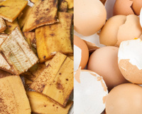 Misturar cascas de banana e ovo: por que é recomendado e para que serve