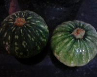 Abobrinha com camarão