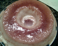 Pudim de pão especial (fica igual pudim de leite)