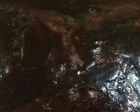 Bolo de cenoura com cobertura crocante de chocolate da Rosineide