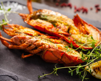 Boa gastronomia, música, eventos esportivos e feira de negócios no XVI Festival da Lagosta de Icapuí/CE; confira!