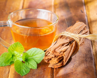 Para que serve o chá de unha-de-gato? Bebida pouco conhecida tem benefícios incríveis para a saúde