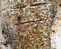 Tambaqui assado no forno